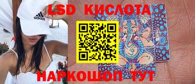 ГАЛЛЮЦИНОГЕННЫЕ ГРИБЫ Кингисепп