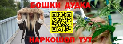 ГАЛЛЮЦИНОГЕННЫЕ ГРИБЫ Кингисепп
