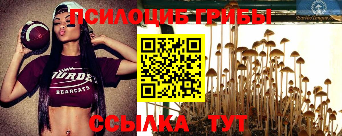Псилоцибиновые грибы Magic Shrooms Королёв