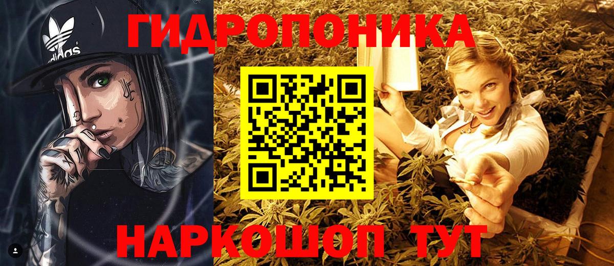 МАРИХУАНА ГИДРОПОН  Каннабис MAZAR  Вход с VPN  Королёв  Шишки марихуана White Widow 